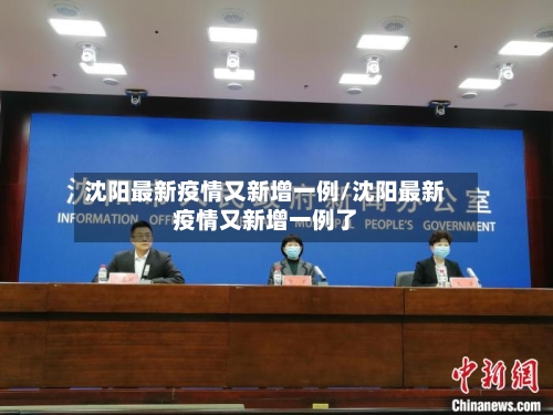 沈阳最新疫情又新增一例/沈阳最新疫情又新增一例了-第3张图片