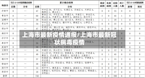 上海市最新疫情通报/上海市最新冠状病毒疫情-第3张图片