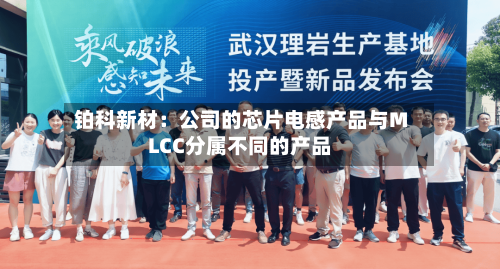 铂科新材：公司的芯片电感产品与MLCC分属不同的产品-第2张图片