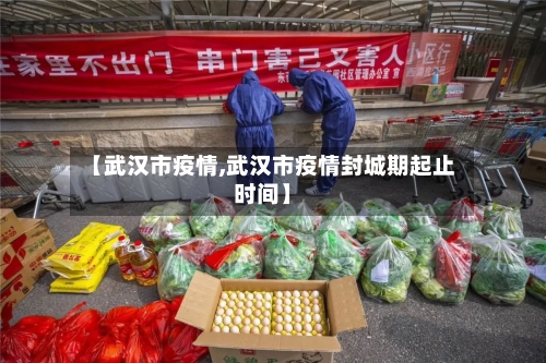 【武汉市疫情,武汉市疫情封城期起止时间】