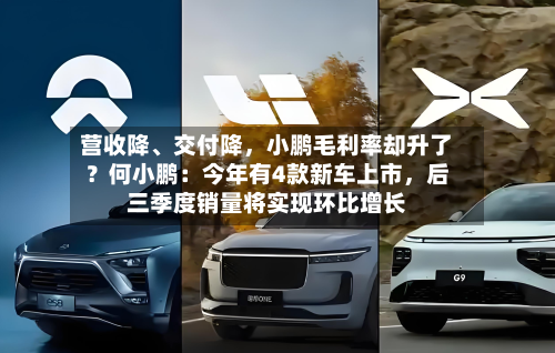 营收降	、交付降，小鹏毛利率却升了？何小鹏：今年有4款新车上市，后三季度销量将实现环比增长-第2张图片