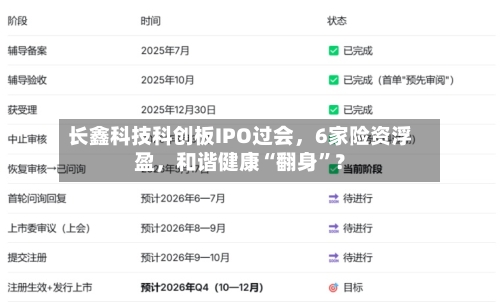 长鑫科技科创板IPO过会，6家险资浮盈，和谐健康“翻身”？-第2张图片