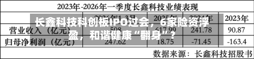 长鑫科技科创板IPO过会	，6家险资浮盈，和谐健康“翻身”？-第3张图片