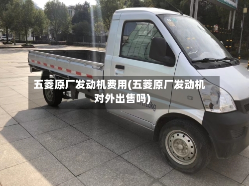 五菱原厂发动机费用(五菱原厂发动机对外出售吗)-第2张图片