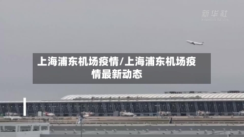 上海浦东机场疫情/上海浦东机场疫情最新动态-第3张图片