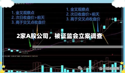 2家A股公司	，被证监会立案调查-第3张图片