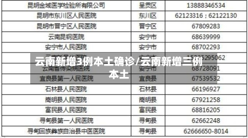 云南新增3例本土确诊/云南新增三例本土-第2张图片