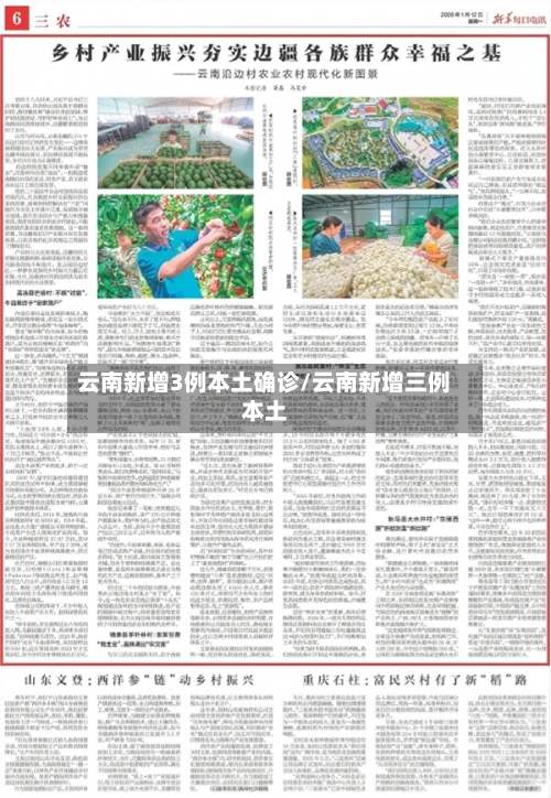 云南新增3例本土确诊/云南新增三例本土-第3张图片
