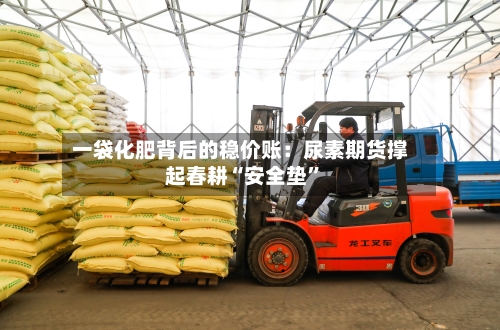 一袋化肥背后的稳价账：尿素期货撑起春耕“安全垫”-第2张图片