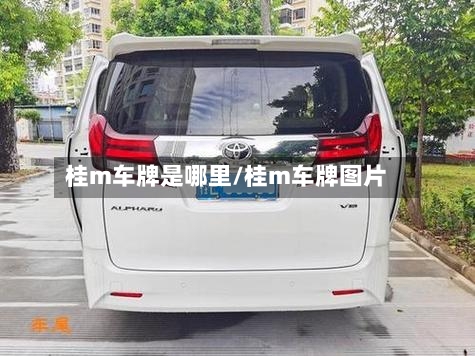 桂m车牌是哪里/桂m车牌图片-第3张图片
