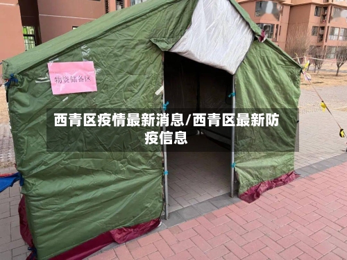 西青区疫情最新消息/西青区最新防疫信息-第2张图片