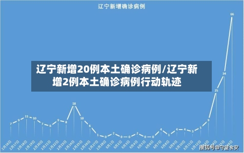 辽宁新增20例本土确诊病例/辽宁新增2例本土确诊病例行动轨迹