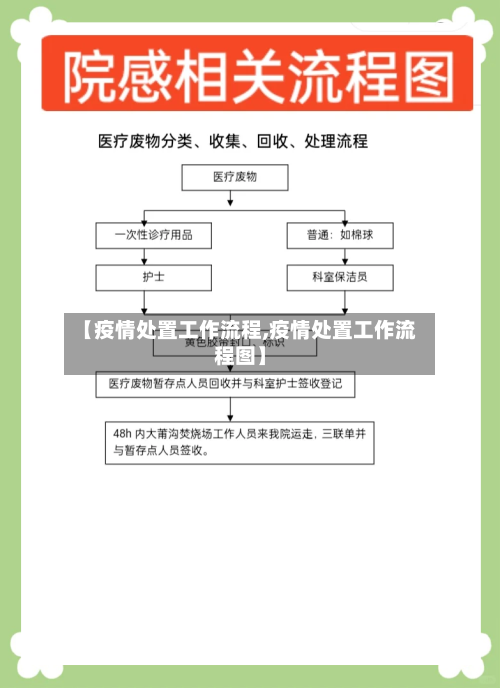 【疫情处置工作流程,疫情处置工作流程图】