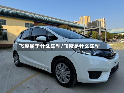 飞度属于什么车型/飞度是什么车型-第2张图片