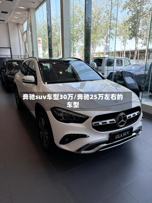 奔驰suv车型30万/奔驰25万左右的车型-第2张图片