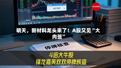 明天，新材料龙头来了！A股又见“大肉签	”-第2张图片