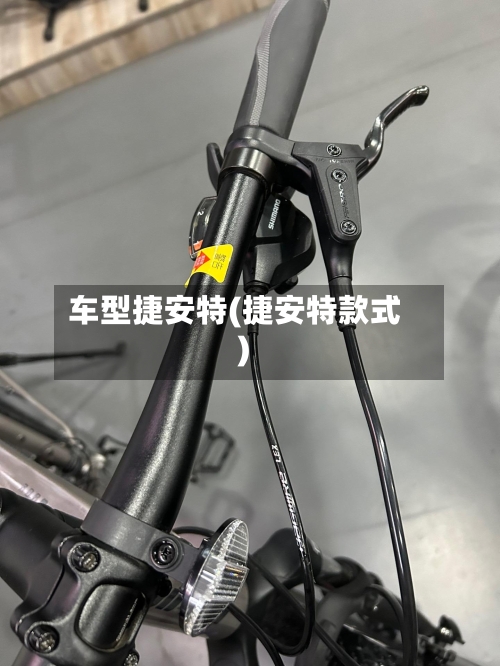 车型捷安特(捷安特款式)-第2张图片