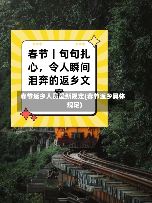 春节返乡人员最新规定(春节返乡具体规定)