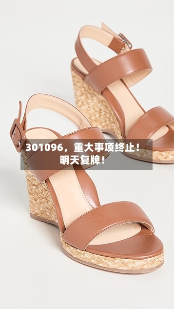 301096，重大事项终止！明天复牌！