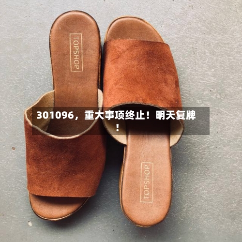 301096，重大事项终止！明天复牌！-第2张图片