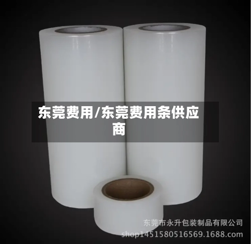 东莞费用/东莞费用条供应商-第2张图片