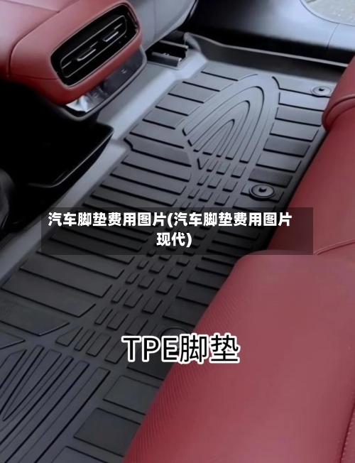 汽车脚垫费用图片(汽车脚垫费用图片现代)-第2张图片