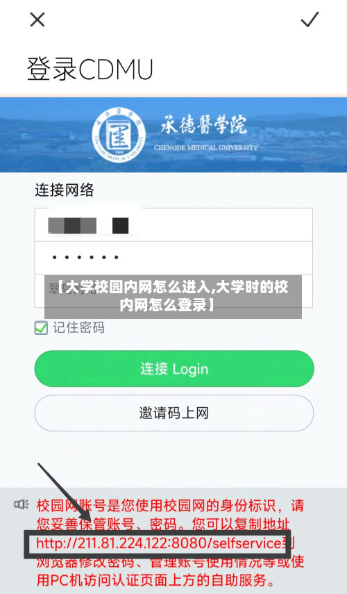 【大学校园内网怎么进入,大学时的校内网怎么登录】-第2张图片
