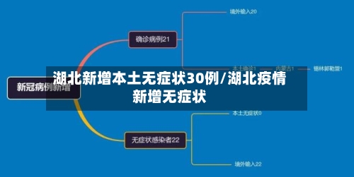 湖北新增本土无症状30例/湖北疫情新增无症状-第2张图片