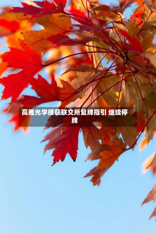 高雅光学接获联交所复牌指引 继续停牌
